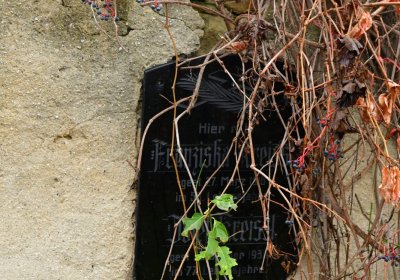 Měcholupy, Omnium, 2020