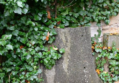 Měcholupy, Omnium, 2020