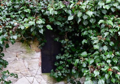 Měcholupy, Omnium, 2020