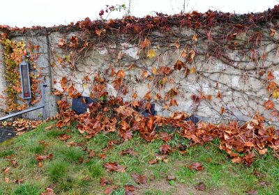 Měcholupy, Omnium, 2020