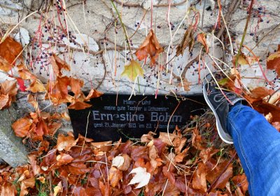 Měcholupy, Omnium, 2020