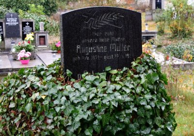 Měcholupy, Omnium, 2020