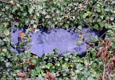 Měcholupy, Omnium, 2020