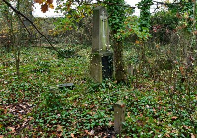 Měcholupy, Omnium, 2020