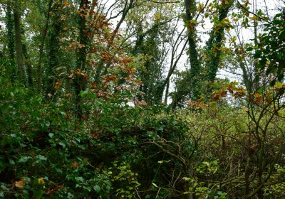 Měcholupy, Omnium, 2020