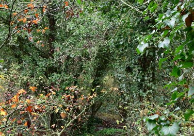 Měcholupy, Omnium, 2020