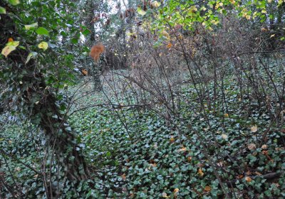 Měcholupy, Omnium, 2020