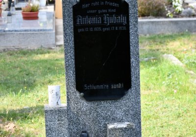 Vroutek městský, Omnium, 2020