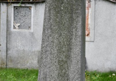 Vroutek městský, Omnium, 2020