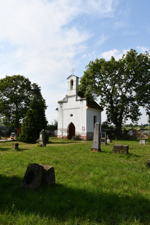 Vidhostice