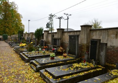 Černčice ul. Tylova, Omnium, 2020