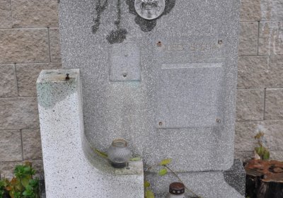 Černčice ul. Husova, Omnium, 2020