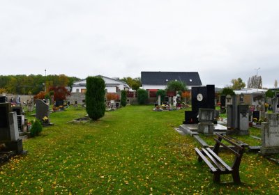 Černčice ul. Husova, Omnium, 2020