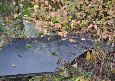 Libořice, Omnium, 2020