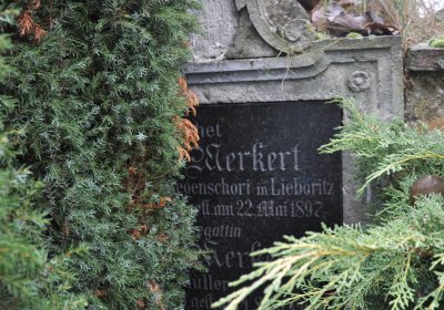 Libořice, Omnium, 2020