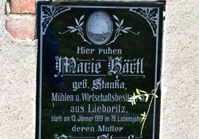 Libořice, Omnium, 2020