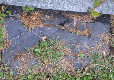 Podbořanský Rohozec, Omnium, 2020