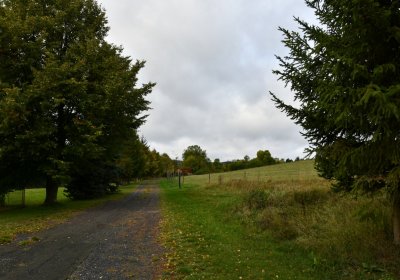 Podbořanský Rohozec, Omnium, 2020