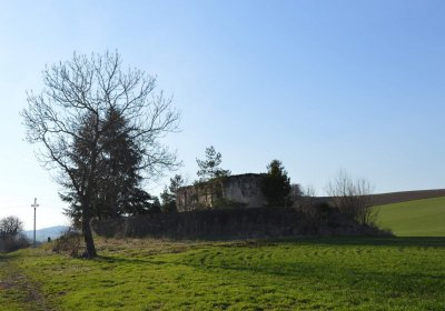 Břehovská Dáša, 2017