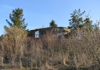 Břehovská Dáša, 2017