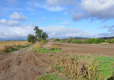 Chotěbudice, Omnium, 2020