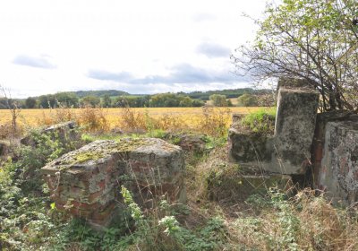 Chotěbudice, Omnium, 2020