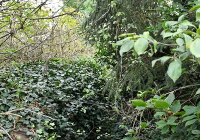 Chotěbudice, Omnium, 2020