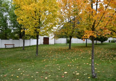 České Zlatníky, Omnium, 2020