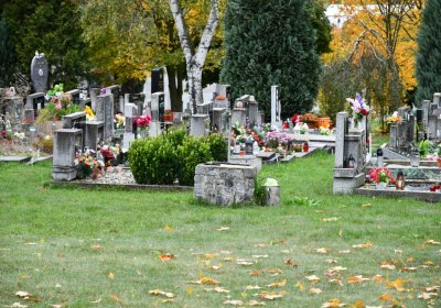 České Zlatníky, Omnium, 2020