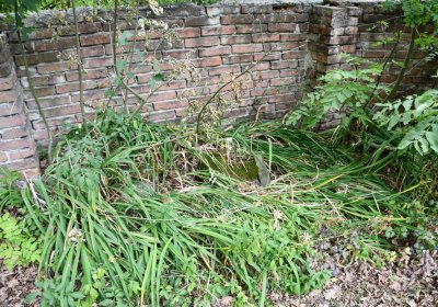 Křemýž, Omnium, 2018