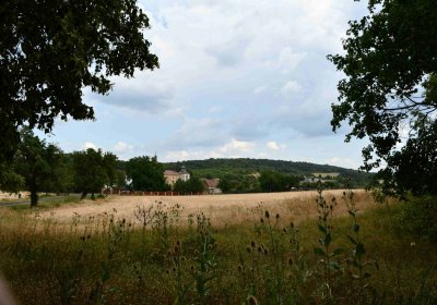 Křemýž, Omnium, 2018