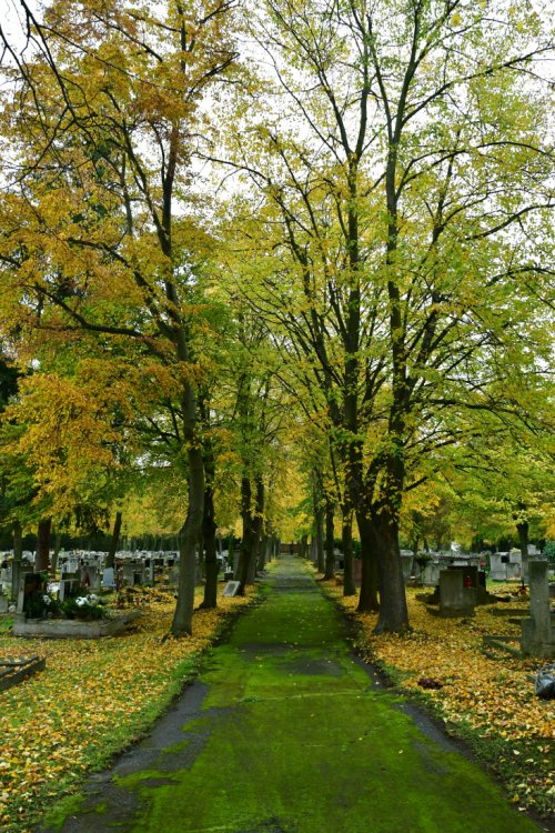 Litvínov