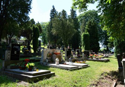 Lužice u Mostu, Omnium, 2018