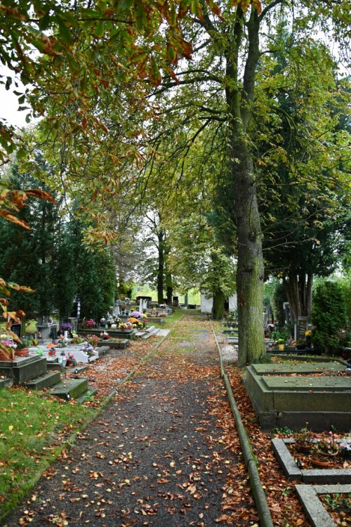 Lužice