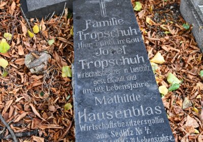 Lužice, Omnium, 2020