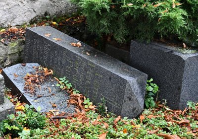 Lužice, Omnium, 2020