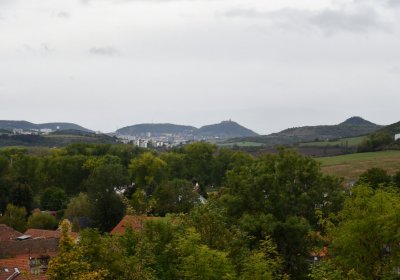 Lužice, Omnium, 2020