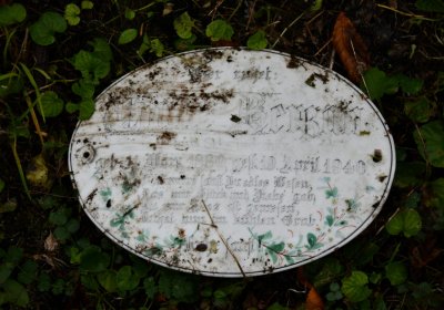 Lužice, Omnium, 2020