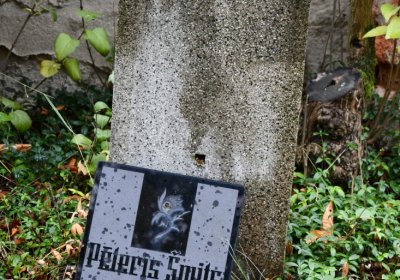 Lužice, Omnium, 2020