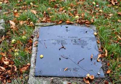 Lužice, Omnium, 2020