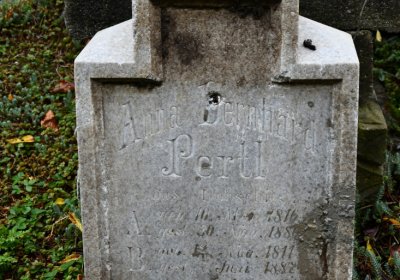 Lužice, Omnium, 2020