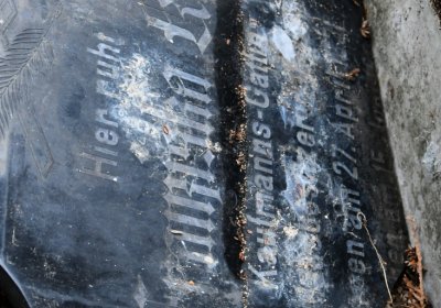 Lužice, Omnium, 2020