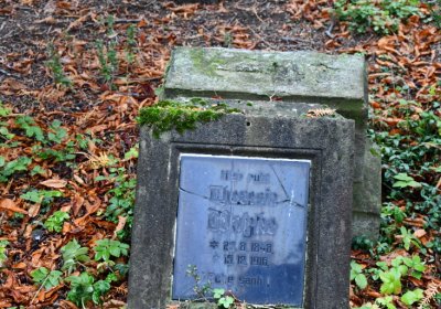 Lužice, Omnium, 2020