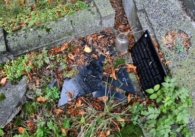 Lužice, Omnium, 2020