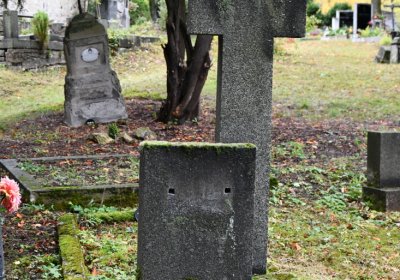 Lužice, Omnium, 2020