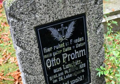 Lužice, Omnium, 2020