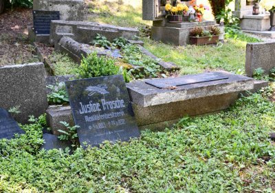 Lužice u Mostu, Omnium, 2018