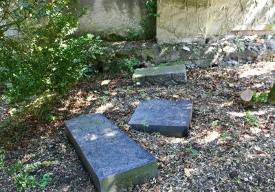 Lužice u Mostu, Omnium, 2018