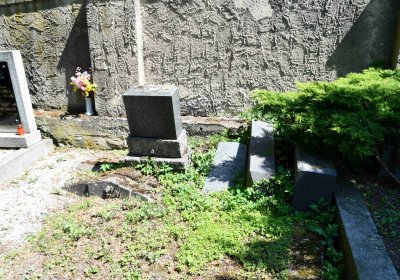 Lužice u Mostu, Omnium, 2018