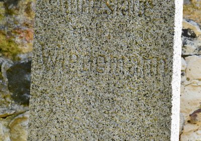 Lužice u Mostu, Omnium, 2018